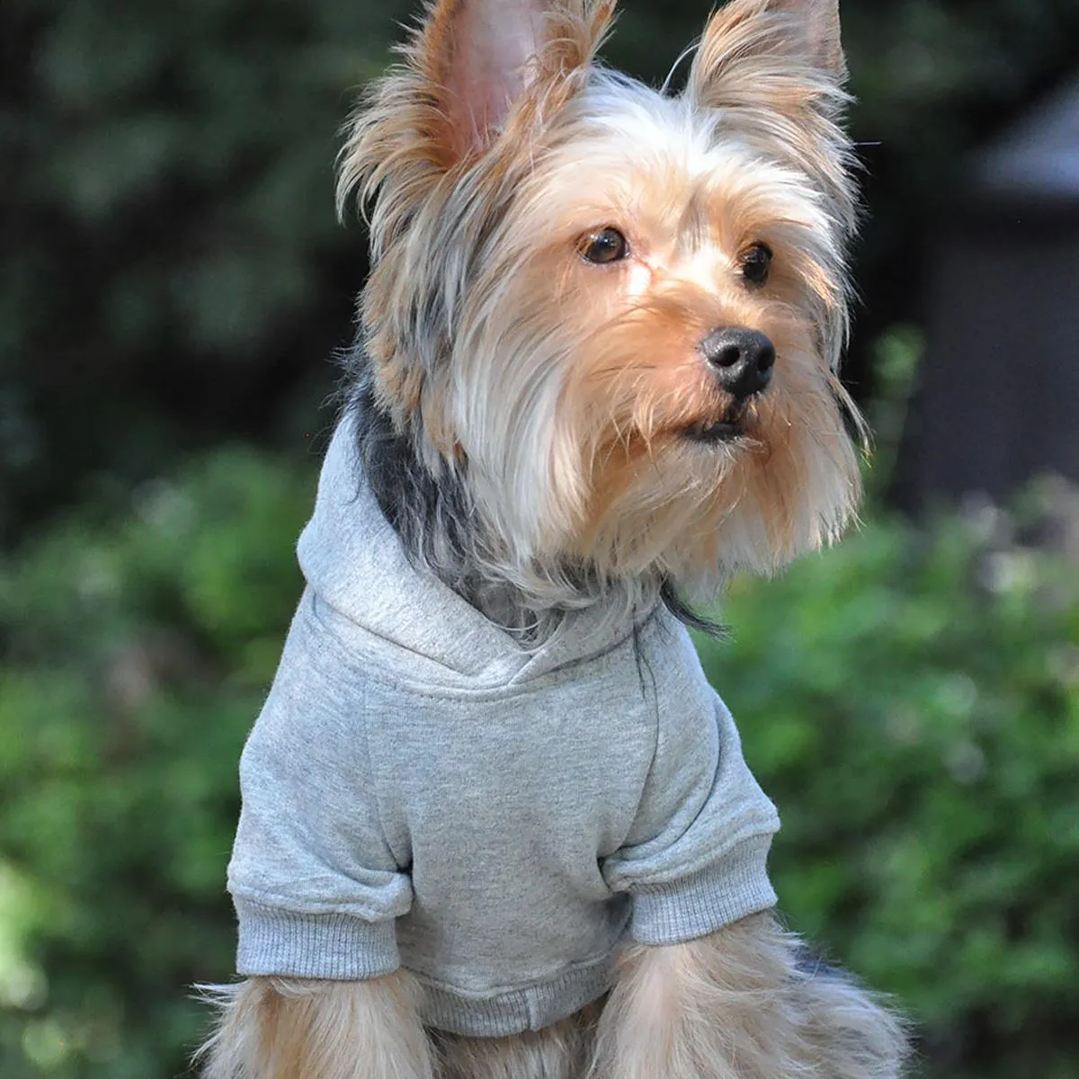 Flex-Fit Hoodie | Gray