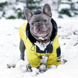 PawMax Raincoat Plus - French Bullog Raincoat